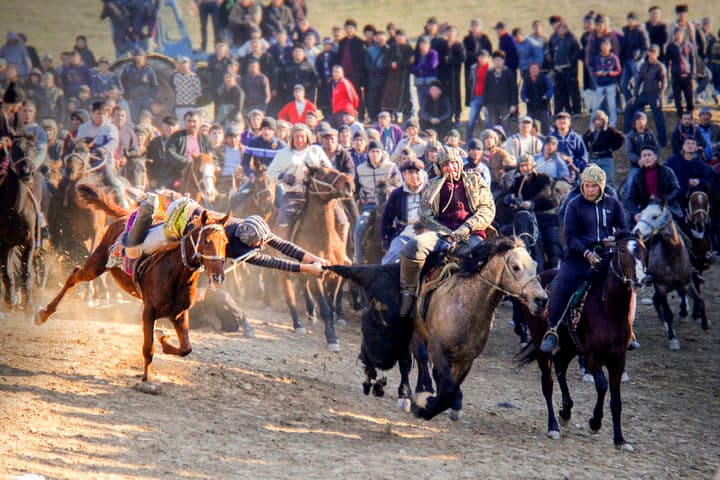 Ko‘pkari uchun qanday ot tanlash kerak?