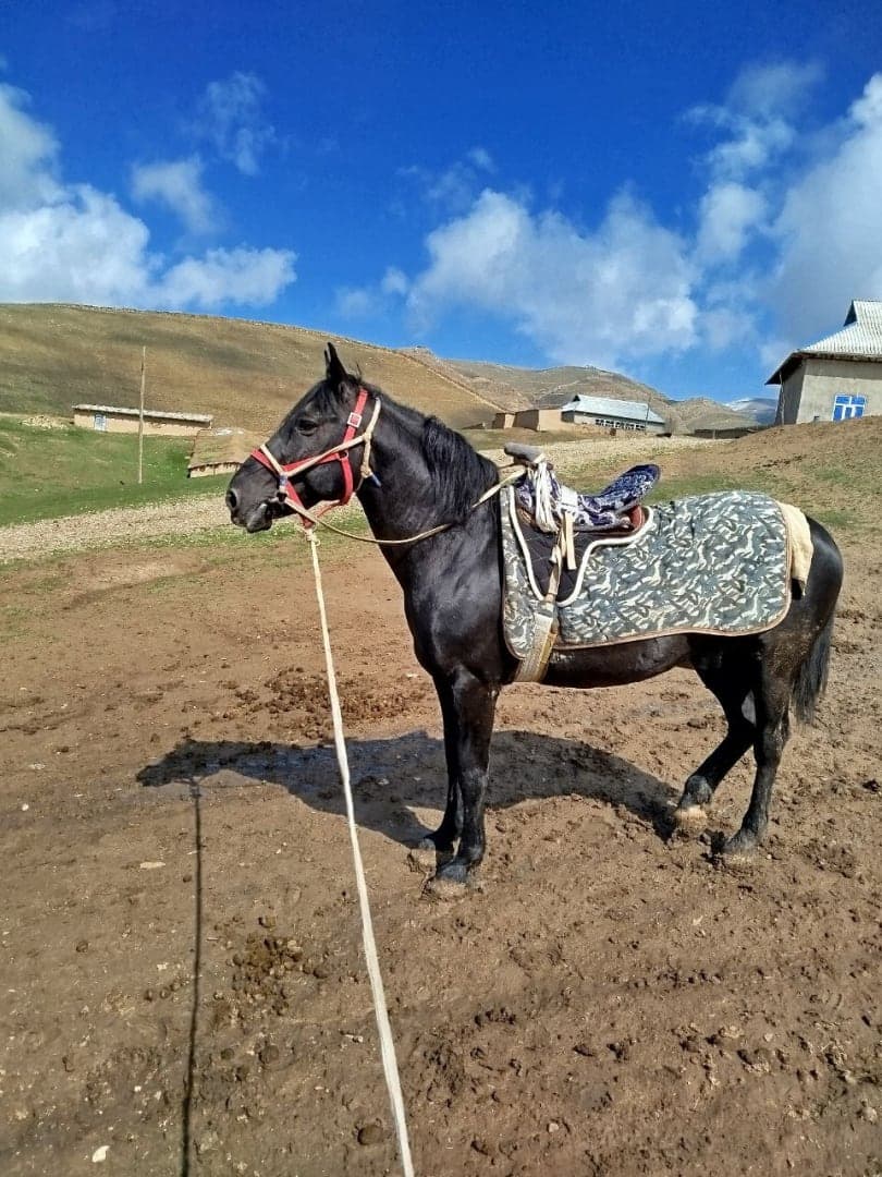 Корайбайир - 1