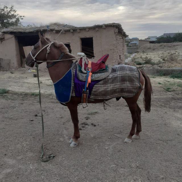 Корабайир - 1