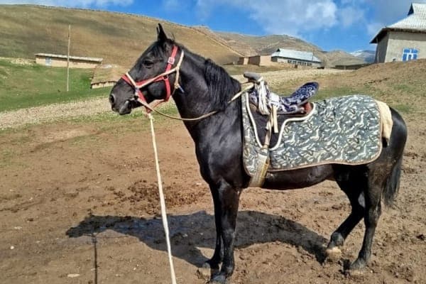 Корайбайир