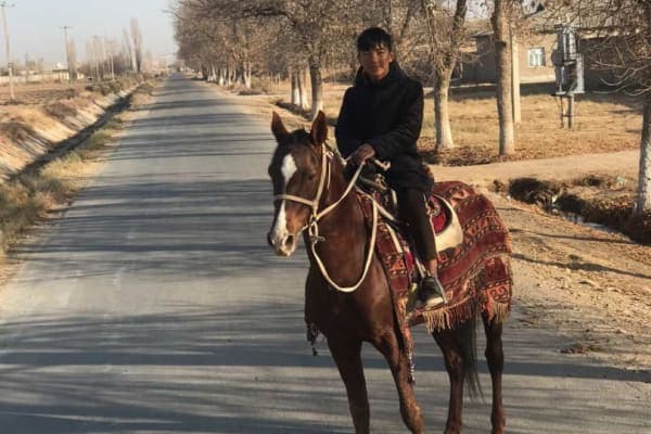 Qorabayr ot sotiladi