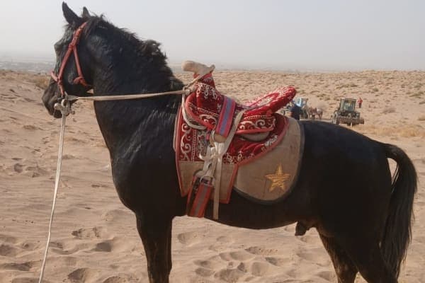 Корабайир от сотилади